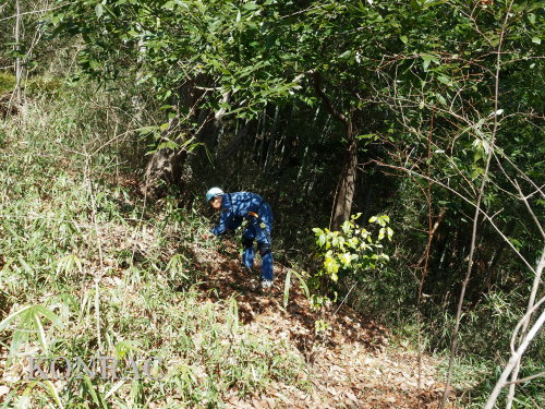 ���R��y��