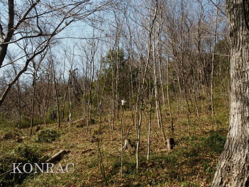 ���R��y��