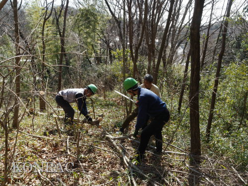 ���R��y��