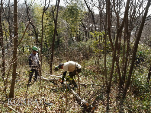 ���R��y��