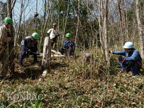 ���R��y��