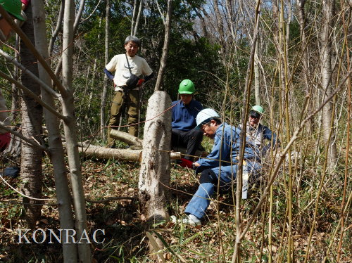 ���R��y��