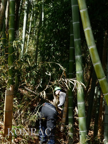 ���R��y��