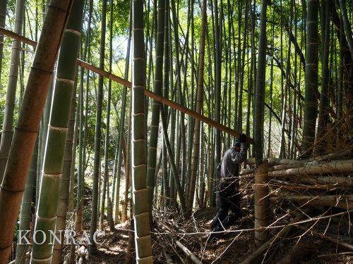 ���R��y��