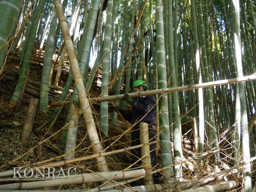 ���R��y��