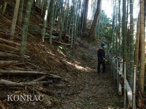 ���R��y��