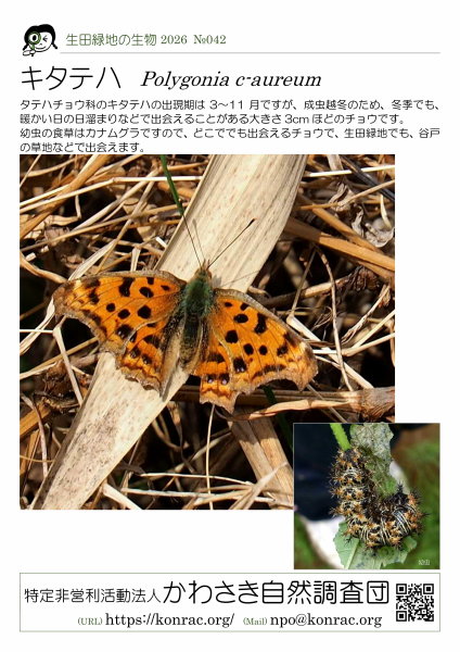 ���c�Βn�̐���25-042