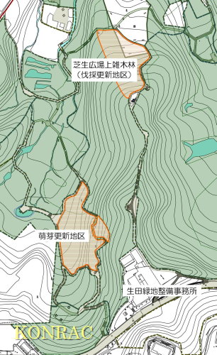 map-芝生広場上雑木林