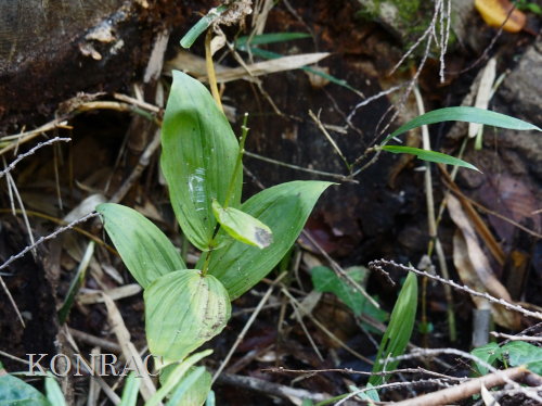 �L������