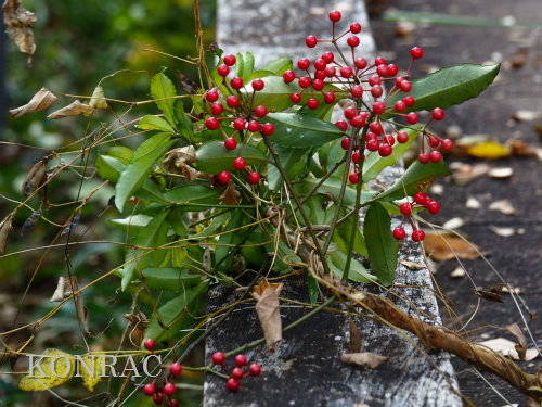 �}�������E