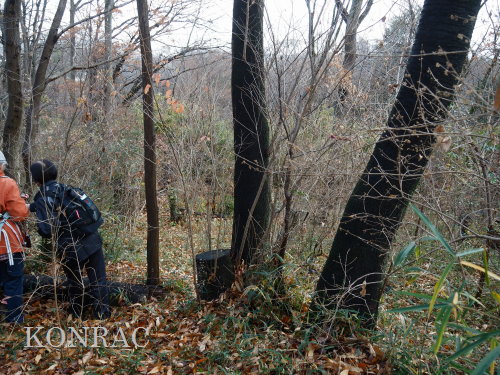 ���}�U�N��